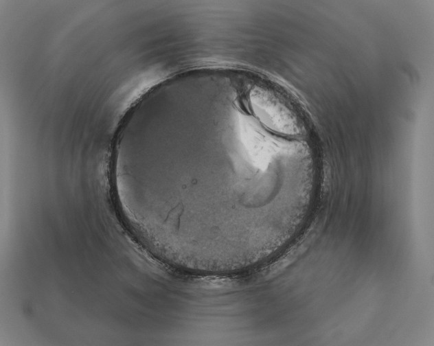 X0000113111314200909181620