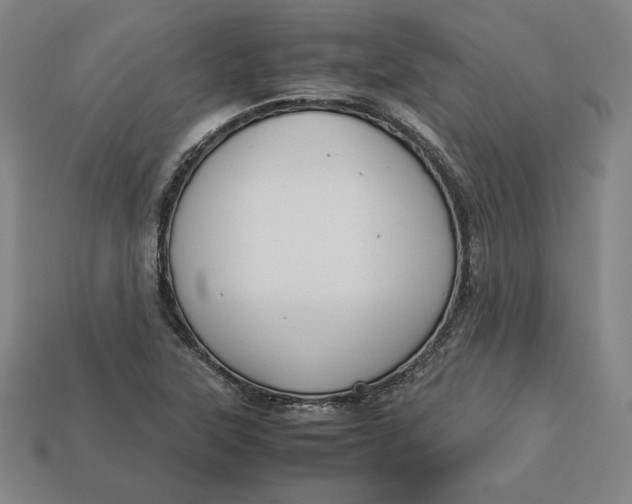 X0000113111315200909181620