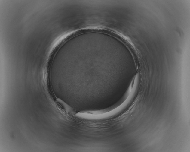 X0000113111319200909181620