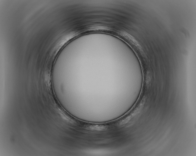 X0000113111321200909181620