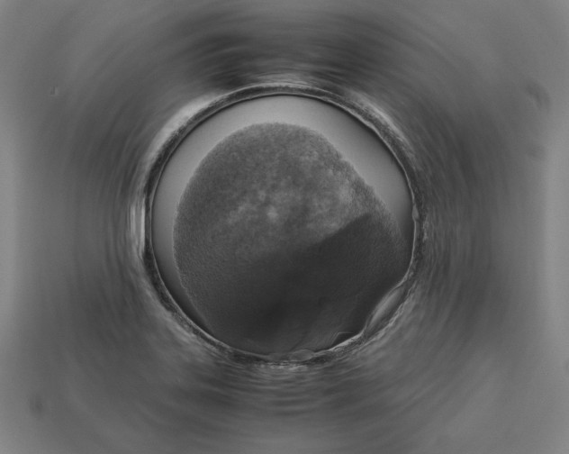 X0000113111323200909181620