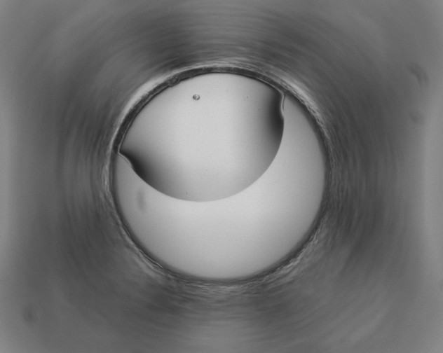 X0000113111324200909181620