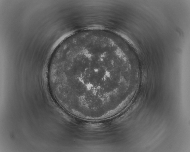 X0000113111325200909181620