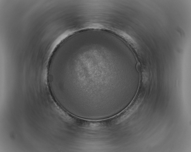 X0000113111326200909181620