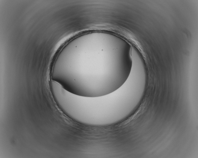 X0000113111328200909181620