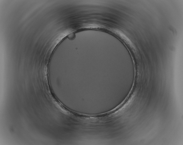X0000113111329200909181620