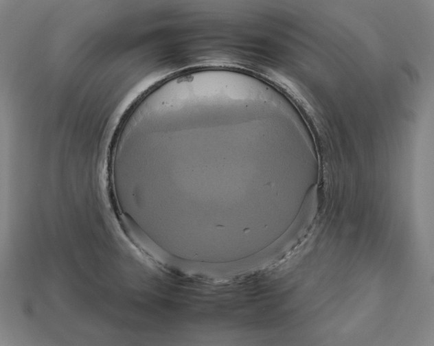 X0000113111331200909181620