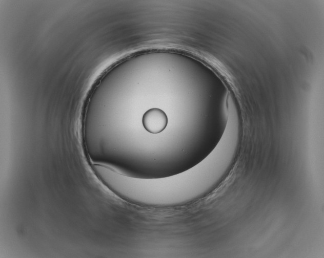 X0000113111334200909181620