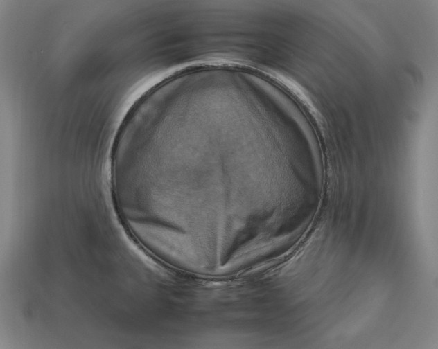 X0000113111335200909181620