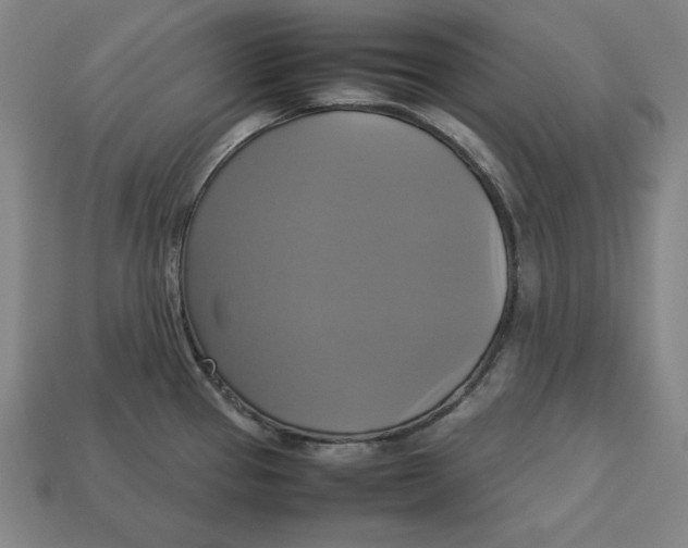 X0000113111337200909181620