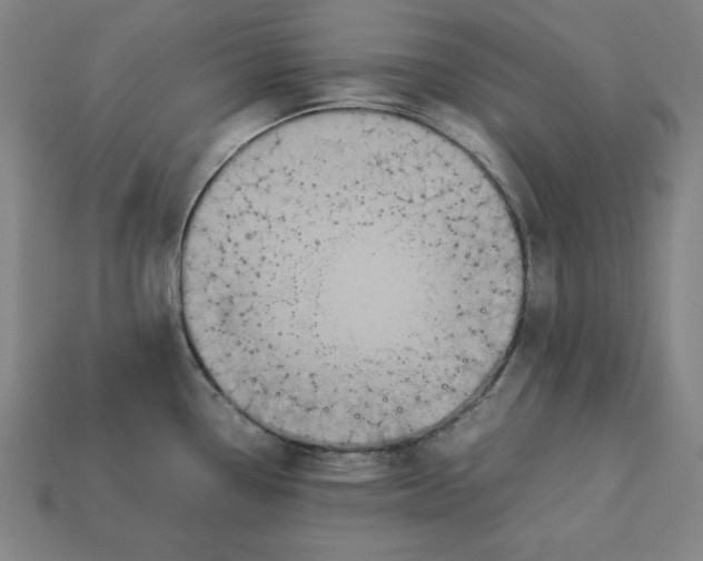 X0000113111338200909181620