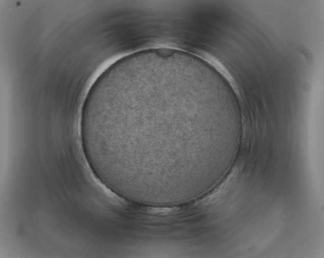 X0000113111339200909181620