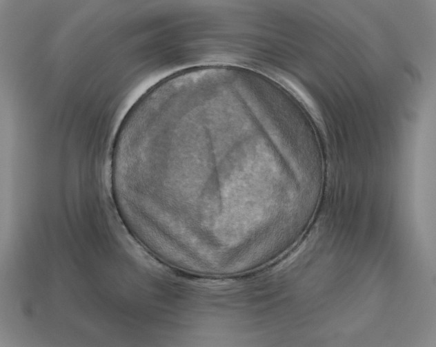 X0000113111340200909181620