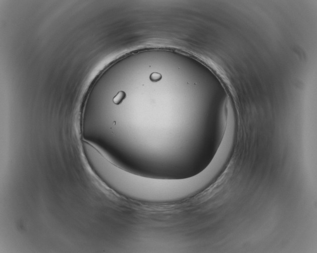 X0000113111342200909181620