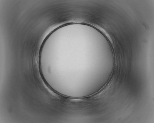 X0000113111343200909181620