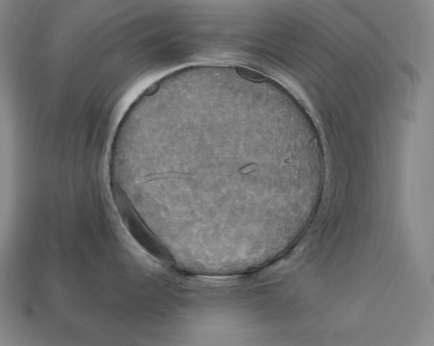 X0000113111344200909181620