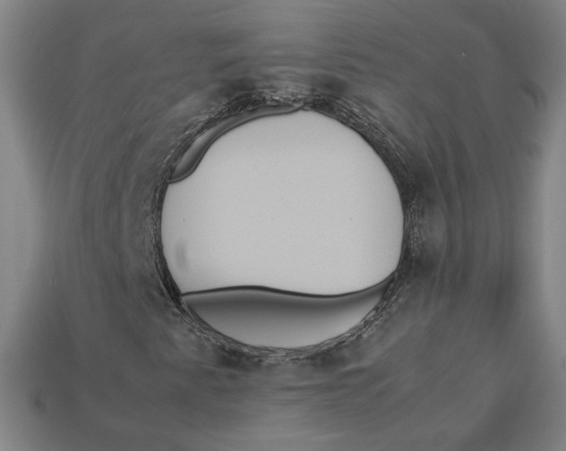 X0000113111345200909181619