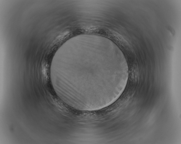 X0000113111346200909181619