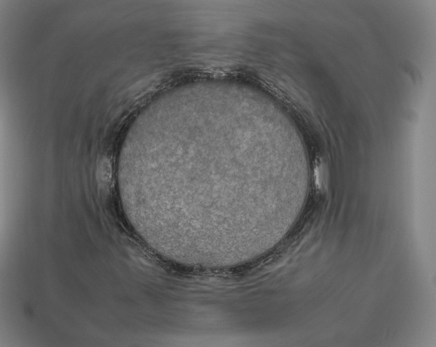 X0000113111347200909181619