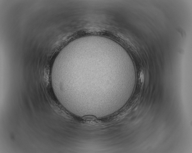 X0000113111348200909181619