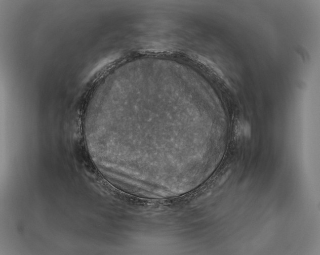 X0000113111350200909181619