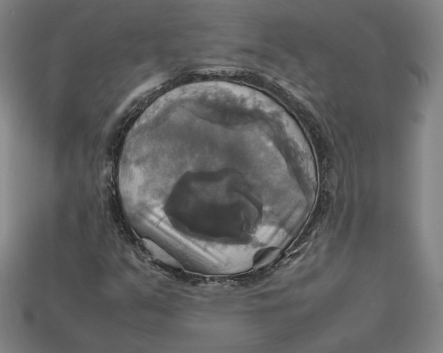 X0000113111351200909181619