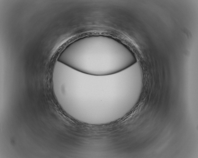 X0000113111352200909181619