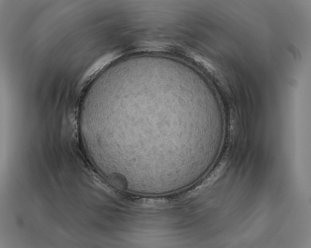 X0000113111354200909181619