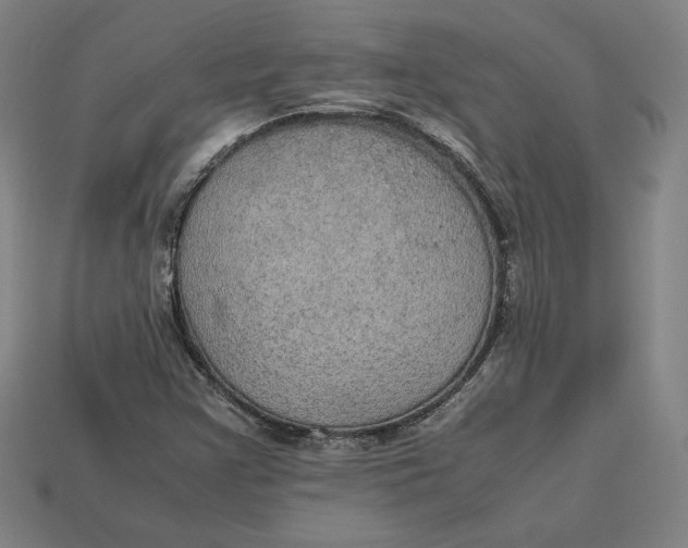 X0000113111355200909181619