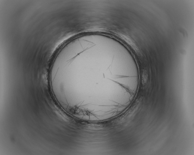 X0000113111356200909181619