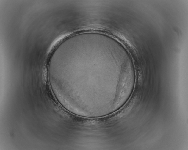 X0000113111358200909181619
