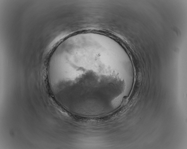 X0000113111359200909181619