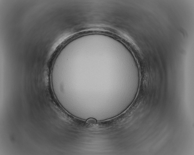 X0000113111360200909181619