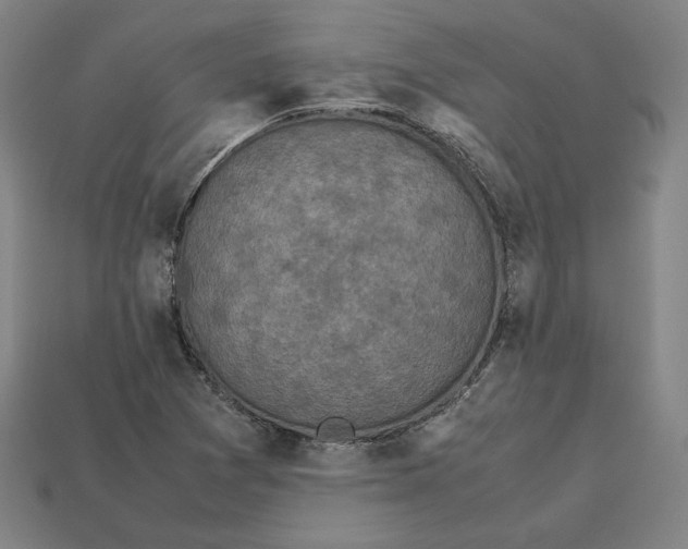 X0000113111361200909181619