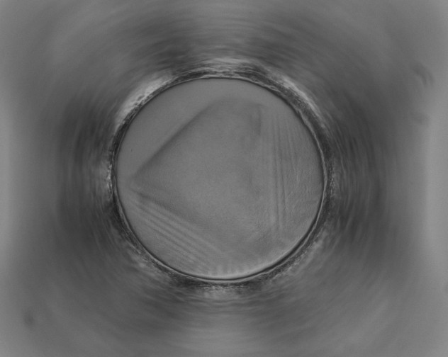 X0000113111362200909181619