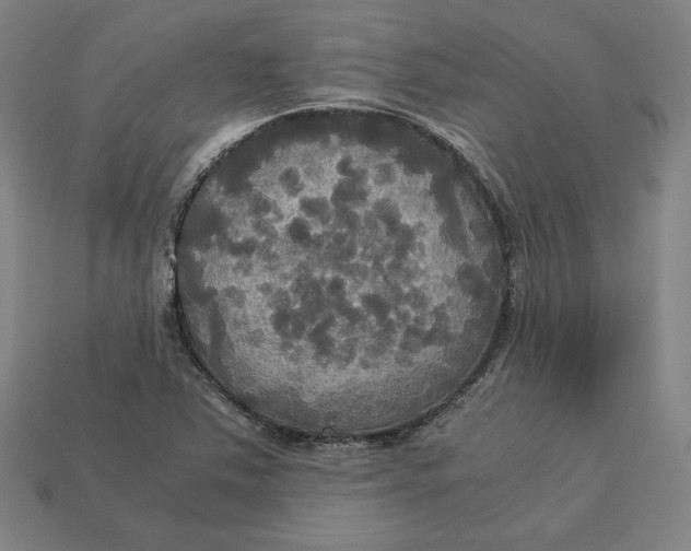 X0000113111363200909181619