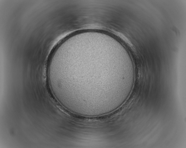 X0000113111364200909181619