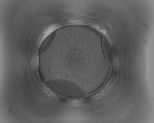 X0000113111365200909181619