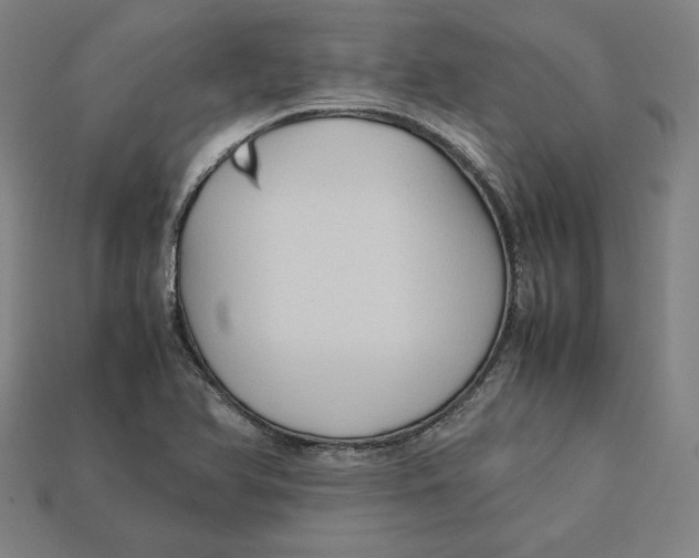 X0000113111366200909181619