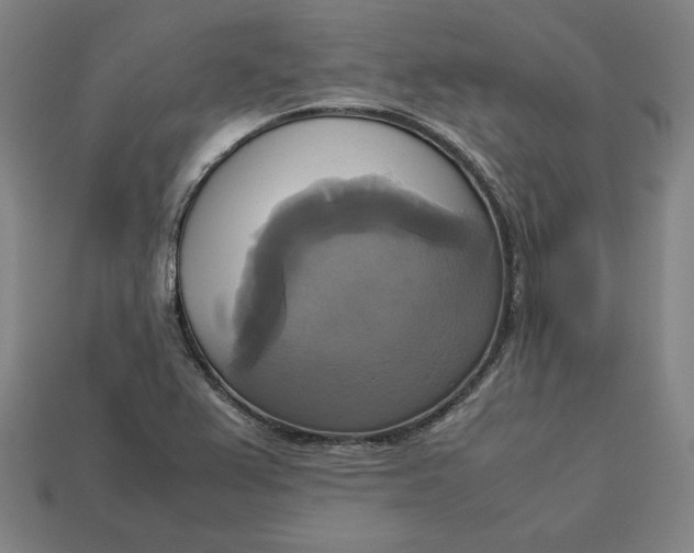 X0000113111367200909181619