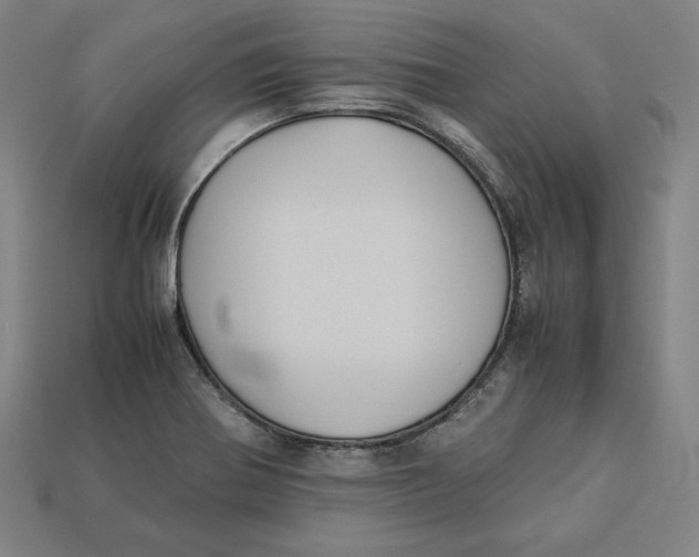 X0000113111370200909181619