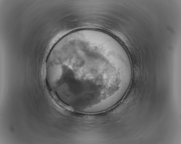 X0000113111371200909181619
