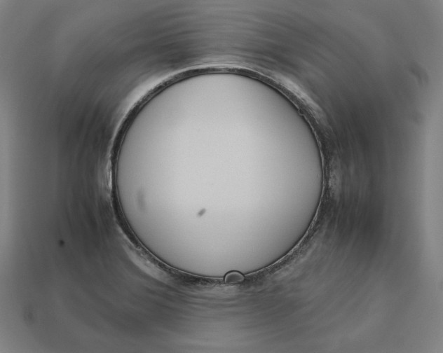 X0000113111372200909181619