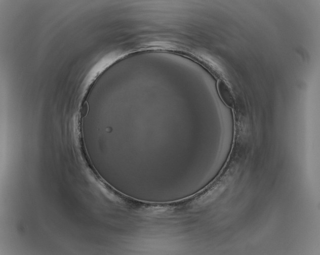 X0000113111373200909181619