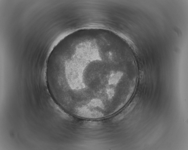 X0000113111374200909181619