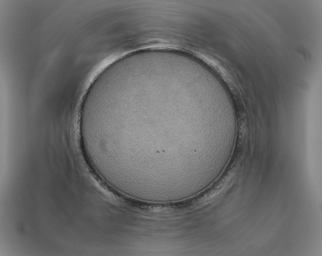 X0000113111375200909181619