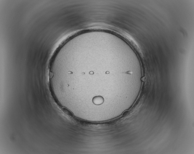 X0000113111376200909181619