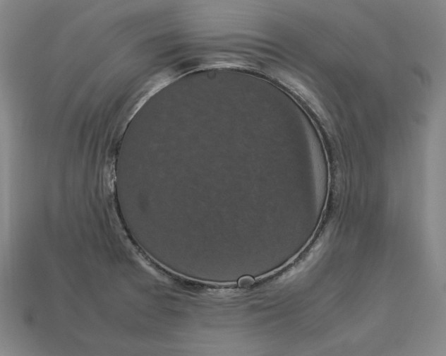 X0000113111377200909181619