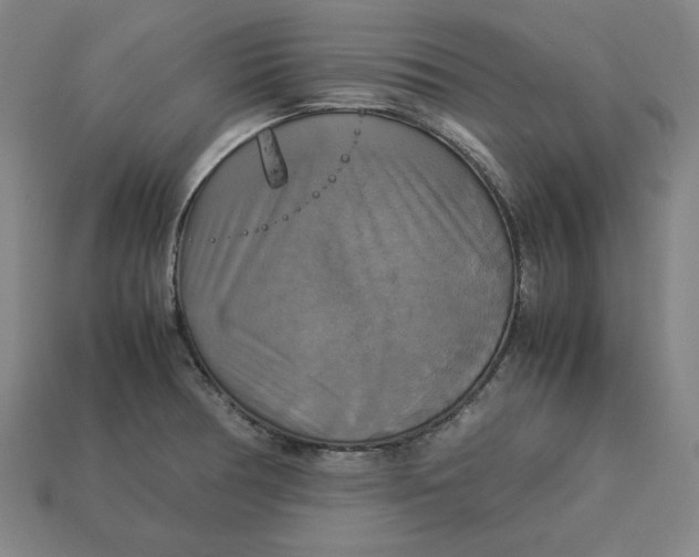 X0000113111378200909181619