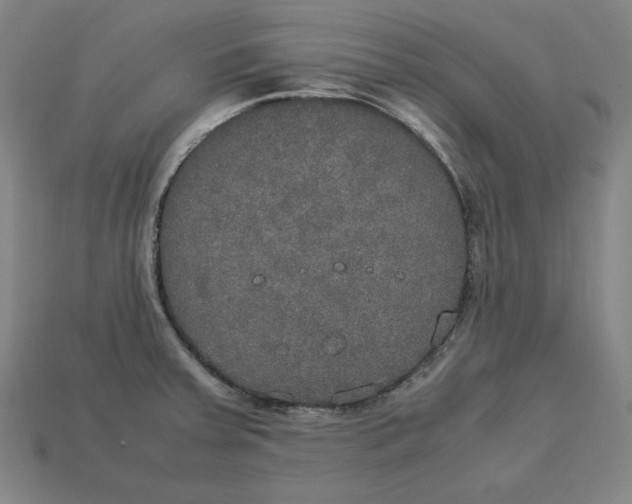 X0000113111379200909181619